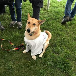 WAFFLES WALKS FOR MENTAL HEALTH